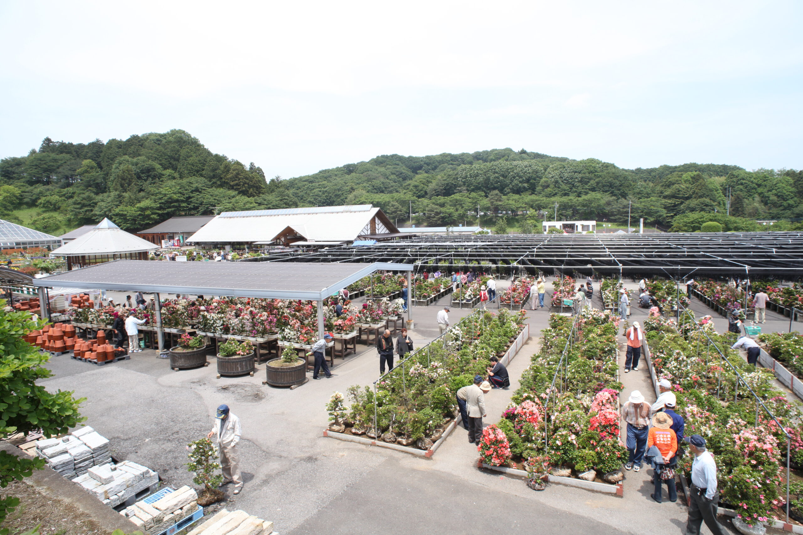 鹿沼市花木センター 鹿沼市観光情報サイト 鹿沼日和