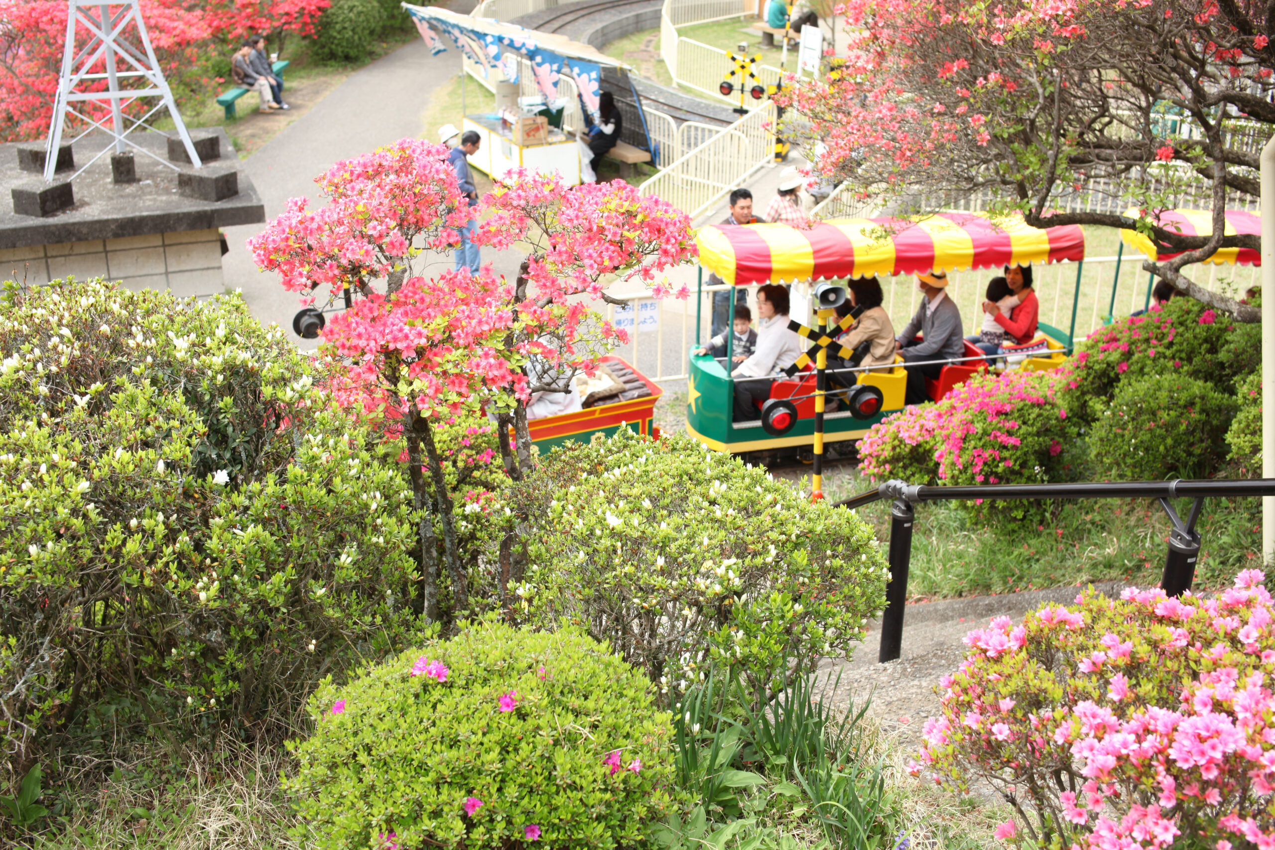 千手山公園つつじ祭り 鹿沼市観光情報サイト 鹿沼日和