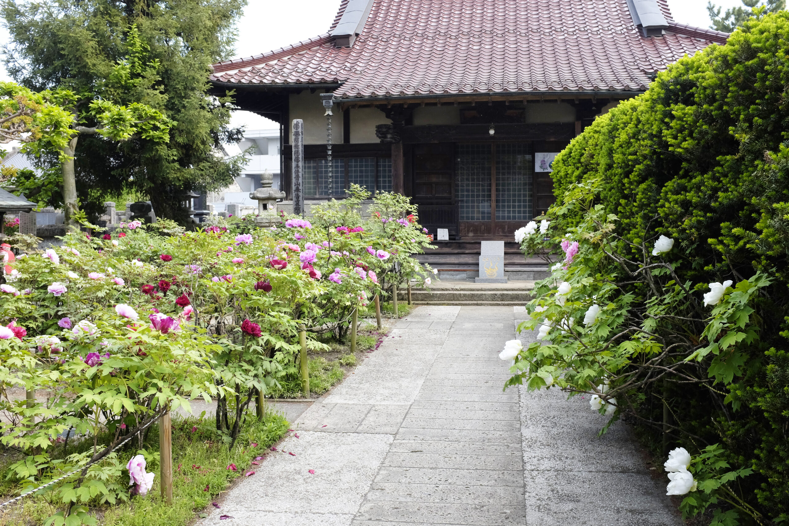 鹿沼市観光情報サイト「鹿沼日和」