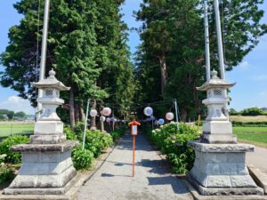 あじさい（磯山神社） - 鹿沼市観光情報サイト「鹿沼日和」