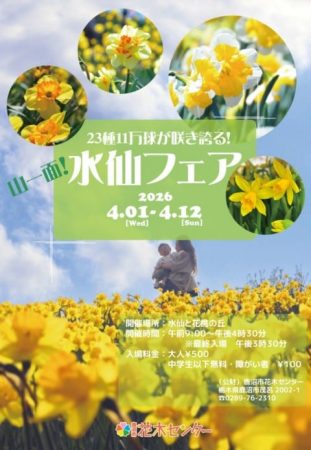 2026水仙まつり