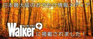 walker+