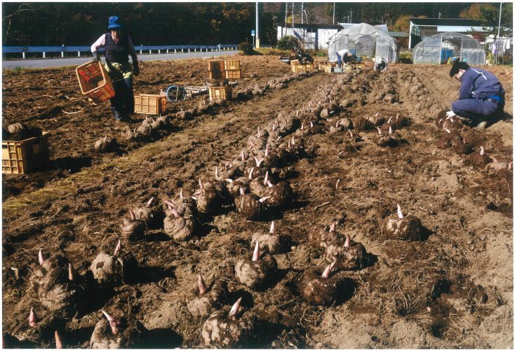 ①2025推薦 秋の大収穫